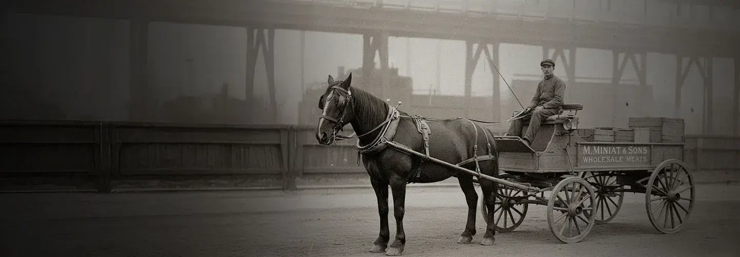 F9e817d019eeeaf18434e7636b84e140b4a0ca2a