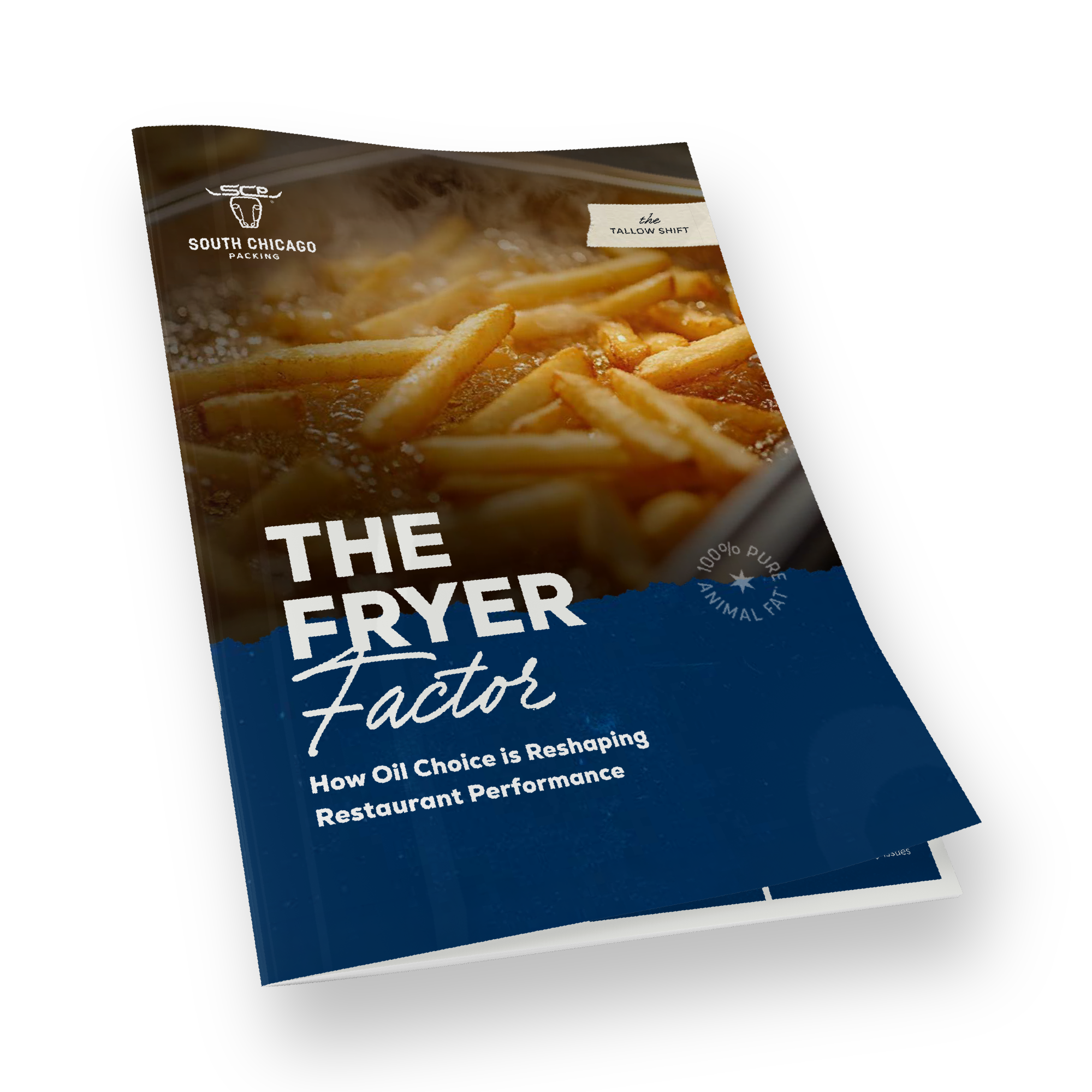 The Fryer Factor Booklet