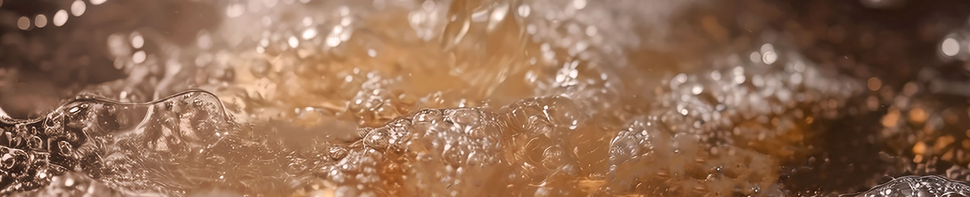 South chicago packing video header